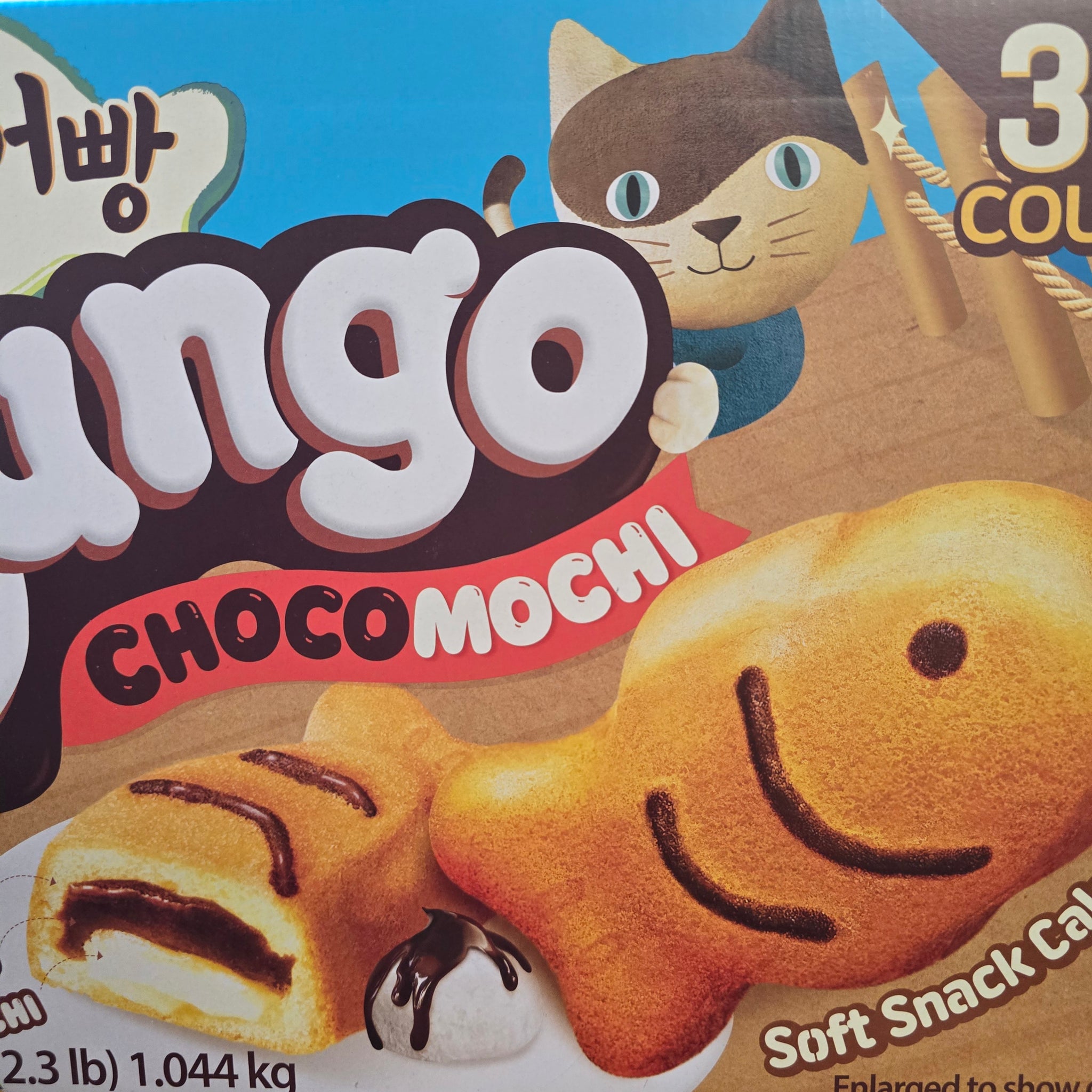 Orion Bungo Cake Choco Mochi 36 Count – Aneka Market
